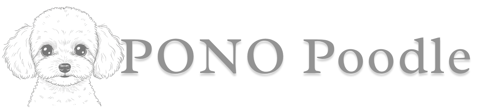 プードル専門犬舎ＰＯＮＯ
