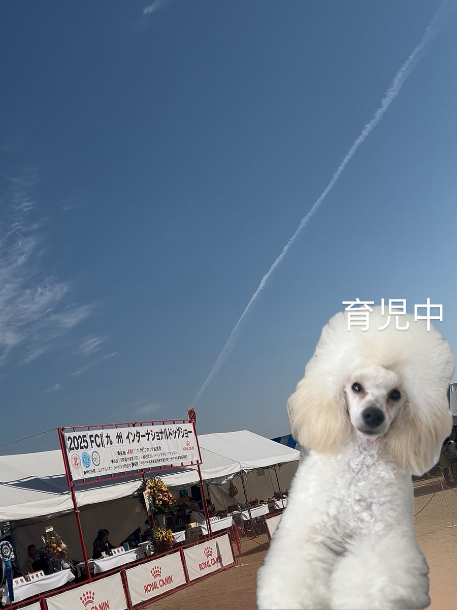 B0B4E50B-4AA5-4AFC-93DA-