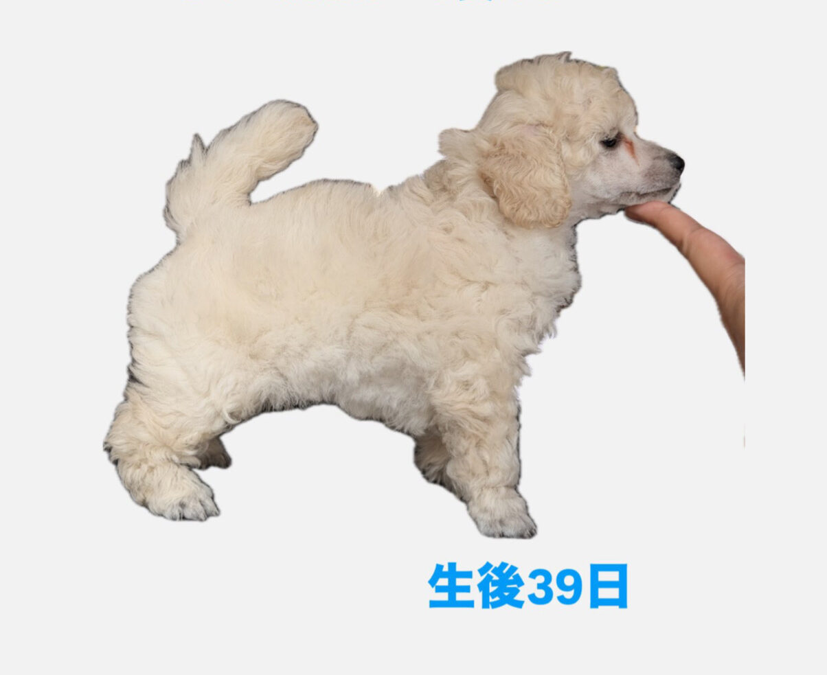 ロンドくん写真2